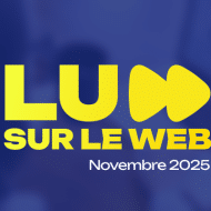 Veille Search Marketing Novembre 2025