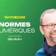 Normes, standards et exigences du numérique : contraintes ou opportunités