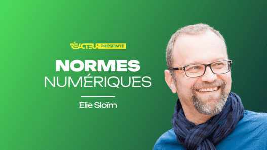Normes, standards et exigences du numérique : contraintes ou opportunités