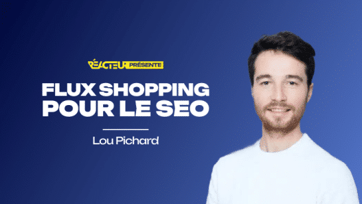 Flux Shopping : comment décupler la visibilité de vos fiches gratuites - Lou Pichard